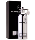 Mango Manga De Montale 100 ML Unisex EDP - VALMARA