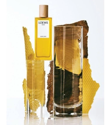 Solo Mercurio De Loewe 100 ML Hombre EDP