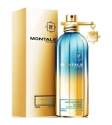 So Iris Intense De Montale 100 ML Unisex EDP - VALMARA