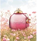 Coach Wild Rose De Coach 90 ML Mujer EDP - VALMARA