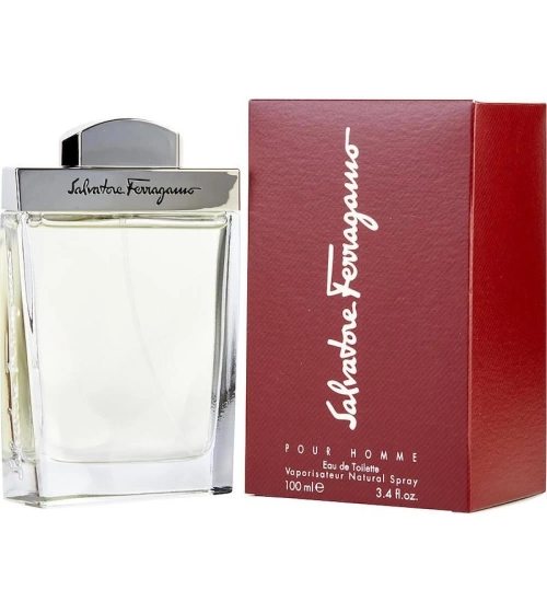 Salvatore Pour Homme De Salvatore Ferragamo 100 ML Hombre EDT