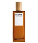 Loewe Pour Homme 100 ML Hombre EDT - VALMARA