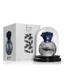 Thouq Lattafa Dama 80 ML EDP - VALMARA