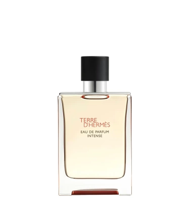 Terre D’Hermès Eau De Parfum Intense 100 Ml