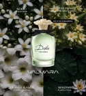 Dolce De Dolce & Gabbana 75 ML Mujer EDP - VALMARA