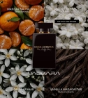 The Only One Dolce & Gabbana 100 ML Intense Mujer EDP - VALMARA