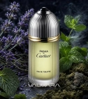 Imagen ambientada del perfume Pasha De Cartier 100 ML Hombre EDT con notas de Lavanda, Pachulí, Musgo De Roble, Menta. - VALMARA