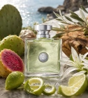 Imagen ambientada del perfume Versace Versense 100 ML Mujer EDT con notas de Opuntia, Madera De Olivo, Mandarina Verde, Azuce... - VALMARA