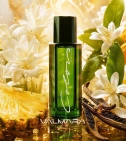 Imagen ambientada del perfume United Colors De Benetton Mujer EDT con notas de Nardo, Vainilla De Madagascar, Piña, Neroli. - VALMARA