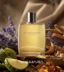 Imagen ambientada del perfume Burberry For Men Burberry 100 ML Hombre EDT con notas de Cedro, Lavanda, Bergamota, Ámbar. - VALMARA