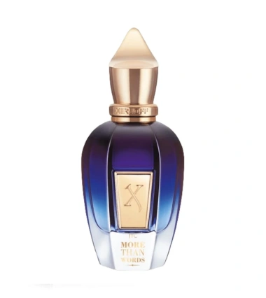More Than Words De Xerjoff 100 ML EDP Unisex