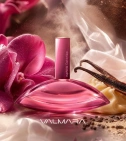 Imagen ambientada del perfume Euphoria Magnetic Elixir De Calvin Klein 100 ML Parfum Mujer con notas de Orquídea, Extracto De... - VALMARA