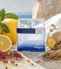Imagen ambientada del perfume F De Ferragamo Free Time 100 ML Hombre EDT con notas de Limón De Amalfi, Jengibre, Pimienta Ros... - VALMARA