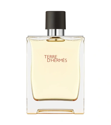 Terre D'hermes De Hermes 100 ML Hombre EDT