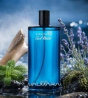 Imagen ambientada del perfume Cool Water De Davidoff 200 ML Hombre EDT con notas de Menta, Lavanda, Musgo De Roble, Sándalo. - VALMARA