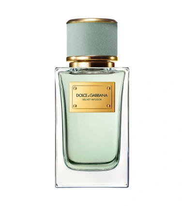 Velvet Infusion De Dolce Gabbana 100 ML EDP Unisex