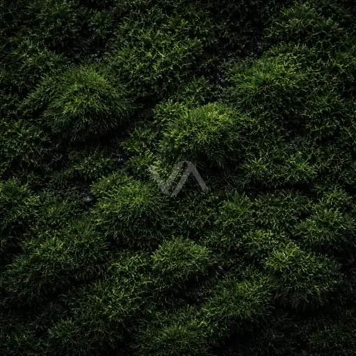 Acorde musgoso en perfumería representado con textura vegetal profunda, tonos verdes oscuros y sensación terrosa, húmeda y natural.